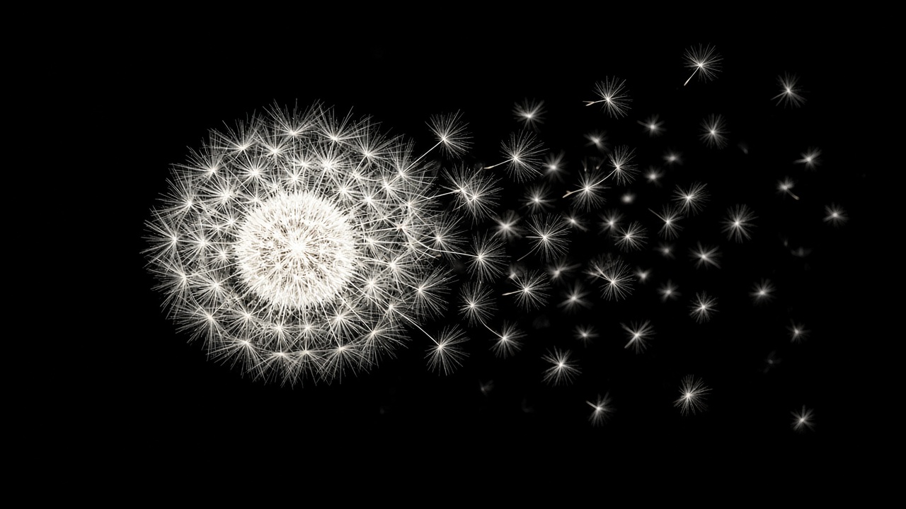 Glowing white dandelion seed head with seeds drifting away on pure black background, original AI dark AMOLED wallpaper