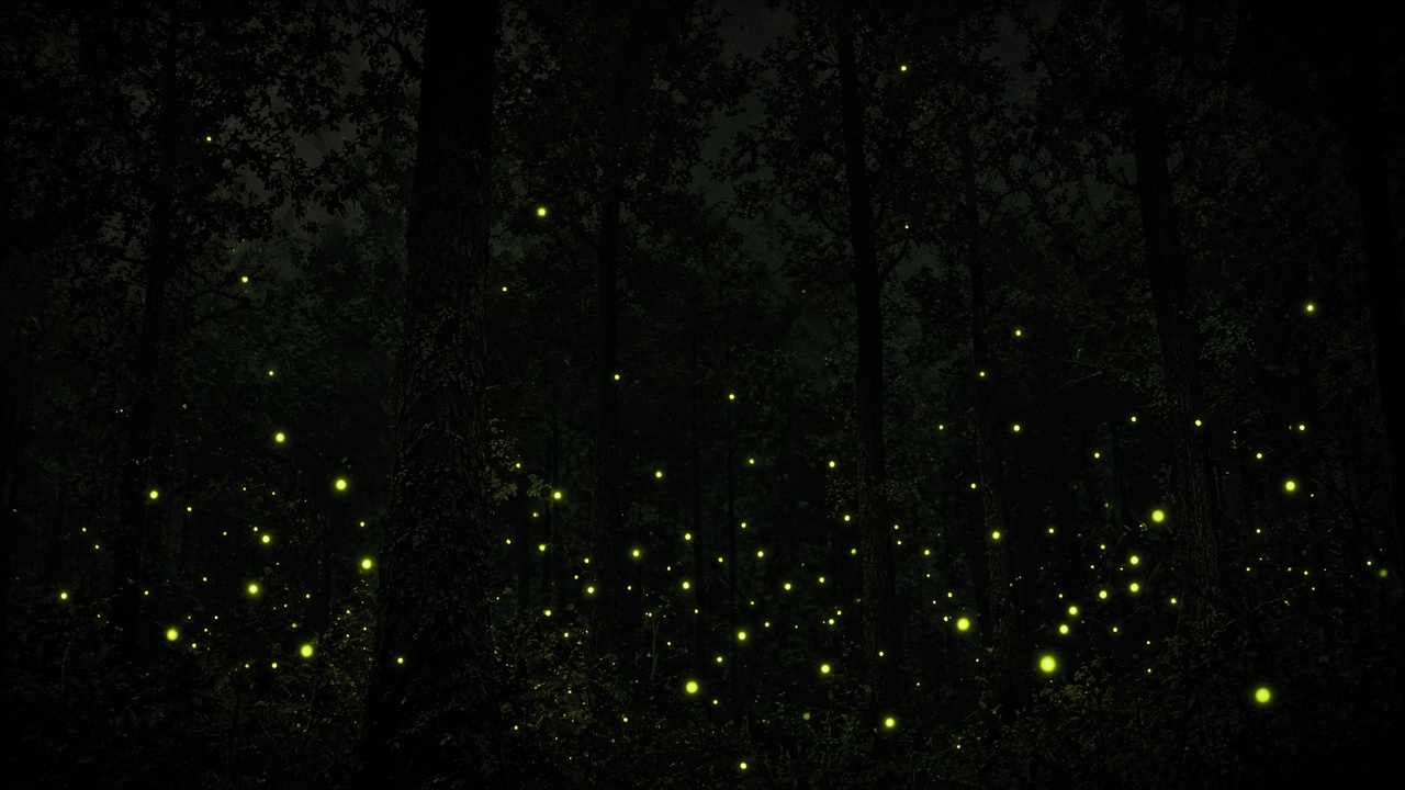 Silhouetted forest on pure black with dozens of tiny green-gold fireflies glowing among the trees, original AI dark AMOLED wallpaper