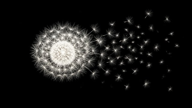 Glowing white dandelion seed head with seeds drifting away on pure black background, original AI dark AMOLED wallpaper