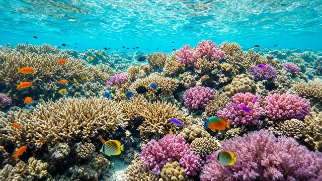 Vibrant coral reef in shallow clear water, colorful corals and tropical fish, sunlight dappling, underwater photograph, original AI nature wallpaper