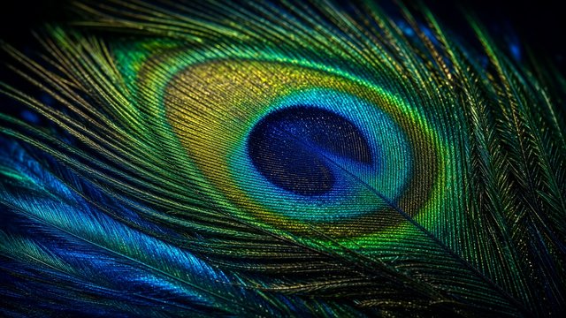 Macro of a colorful peacock-like feather, iridescent blue and green, original AI wallpaper