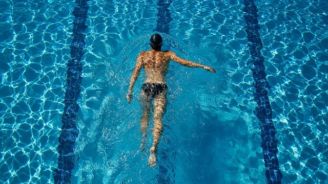 Overhead view of an adult swimmer in a clear blue pool lane with rippling light, original AI sports wallpaper
